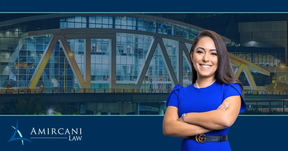 Amircani Law